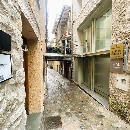 Apartamento Duplex En El Corazon De Camprodon, La Rovira Zewnętrze zdjęcie